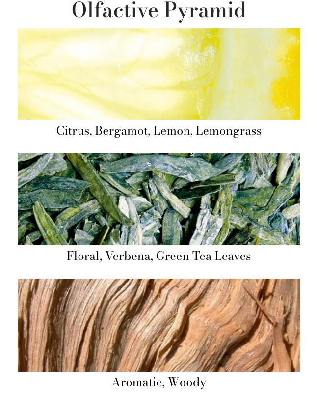 Cereria Molla - Tea & Lemongrass Diffuser Refill – 16.9oz