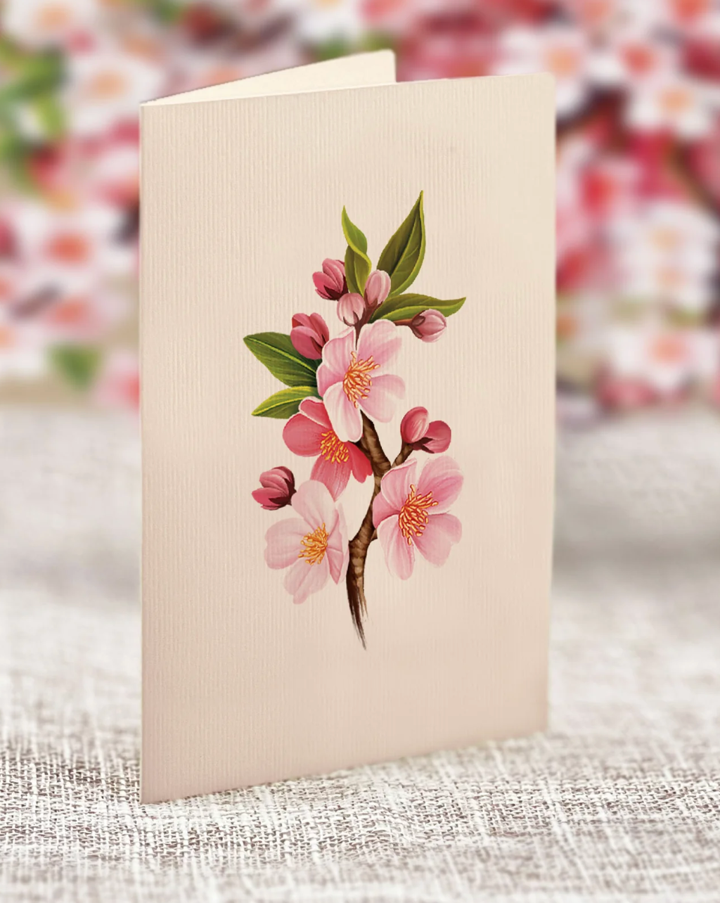 Fresh Cut Paper 3D Pop Up Flower Greeting Note Card – Mini Japanese Cherry Blossoms – 6" x 5"