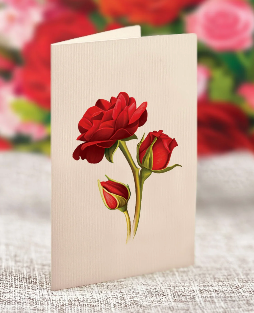 Fresh Cut Paper 3D Pop Up Flower Greeting Note Card – Blooming Roses – 6" x 5"