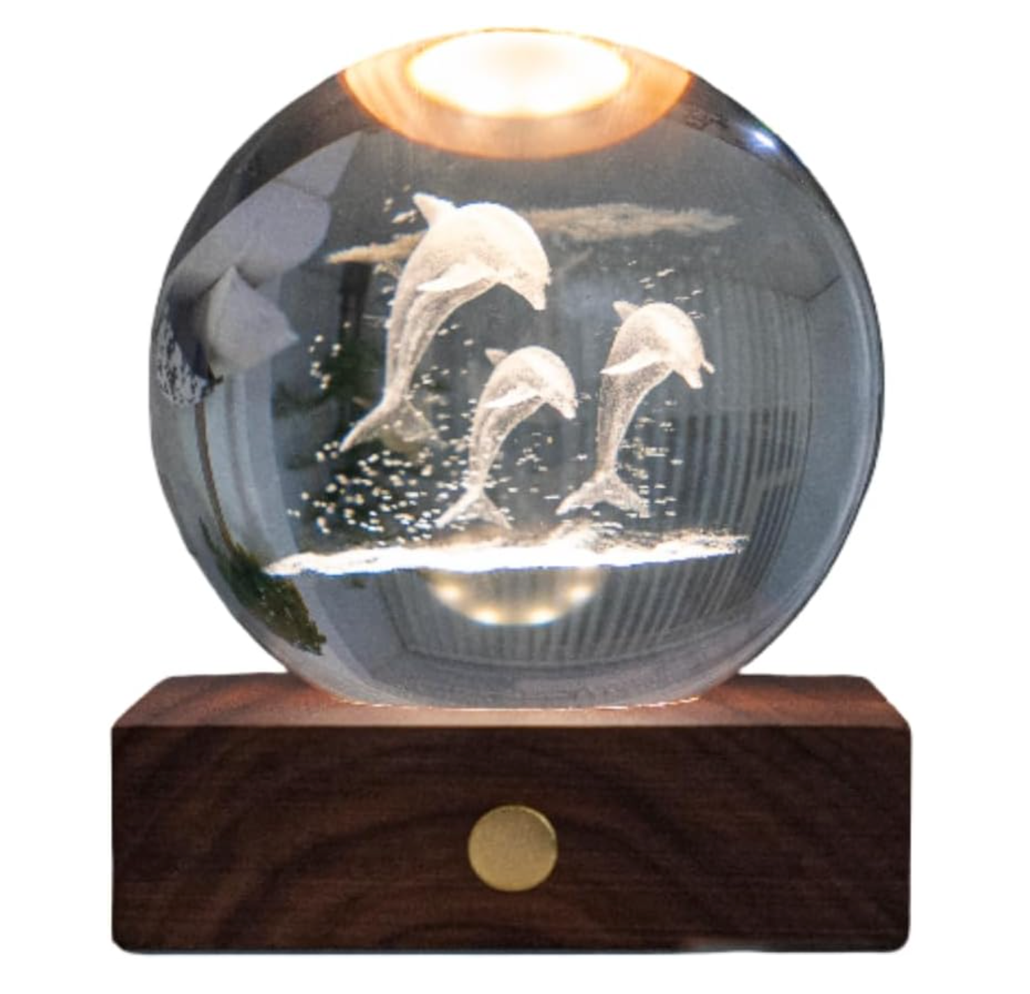 Gingko Designs Amber Crystal Paper Weight – Jumping Dolphins