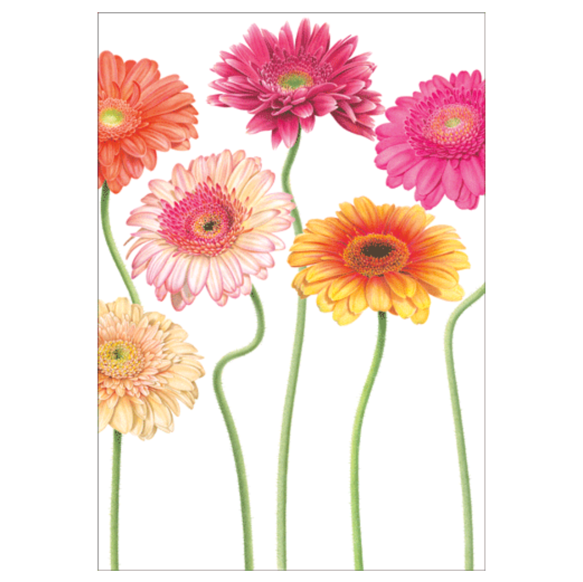 Caspari Mother's Day Card – Bright & Beautiful Day – 1 Card & 1 Envelope