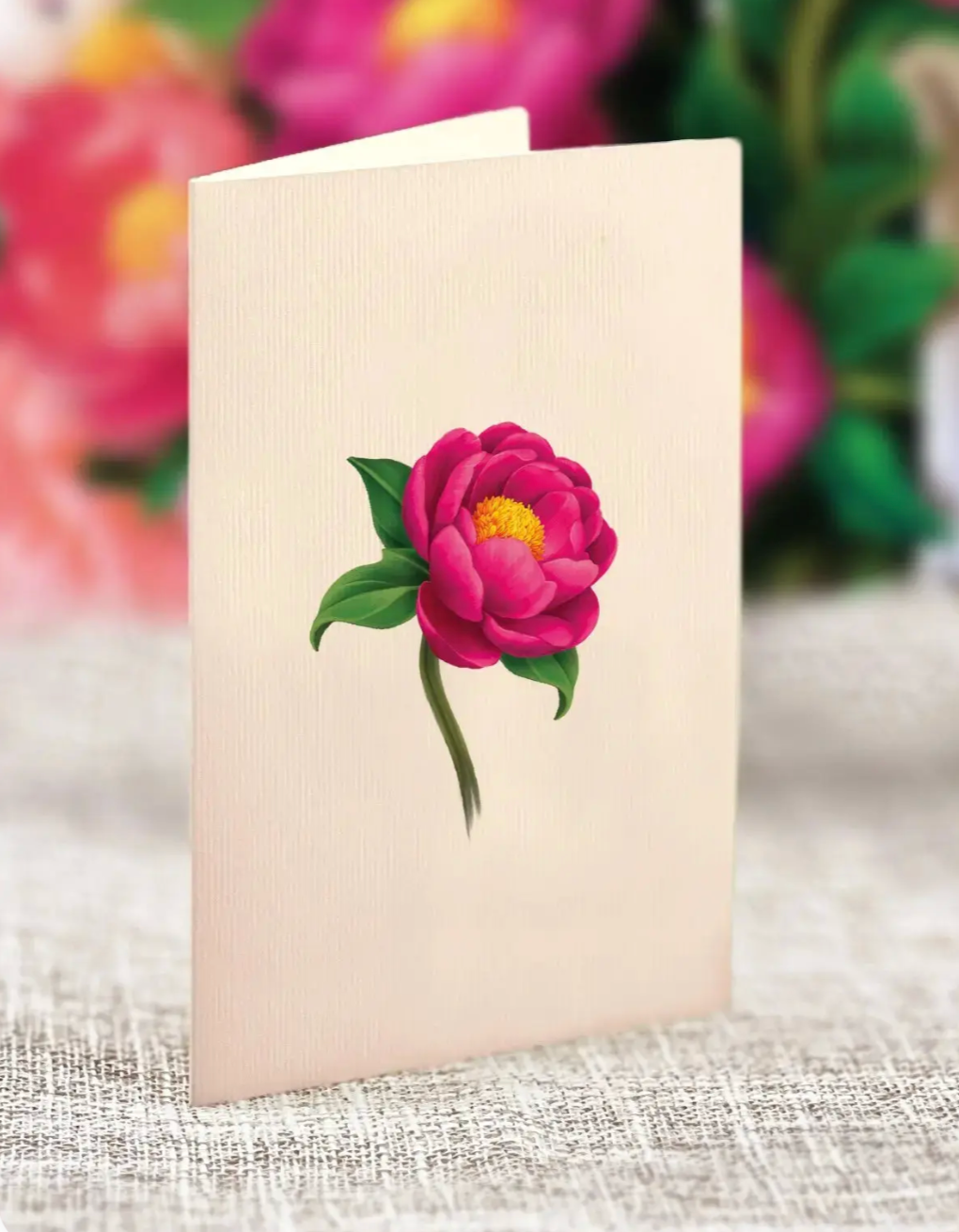 Fresh Cut Paper Mini 3D Pop Up Greeting Note Card – Peony Paradise – 6" x 5"