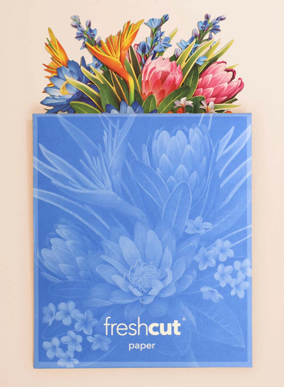 Fresh Cut Paper Mini 3D Pop Up Greeting Note Card – Tropical Paradise – 6" x 5"