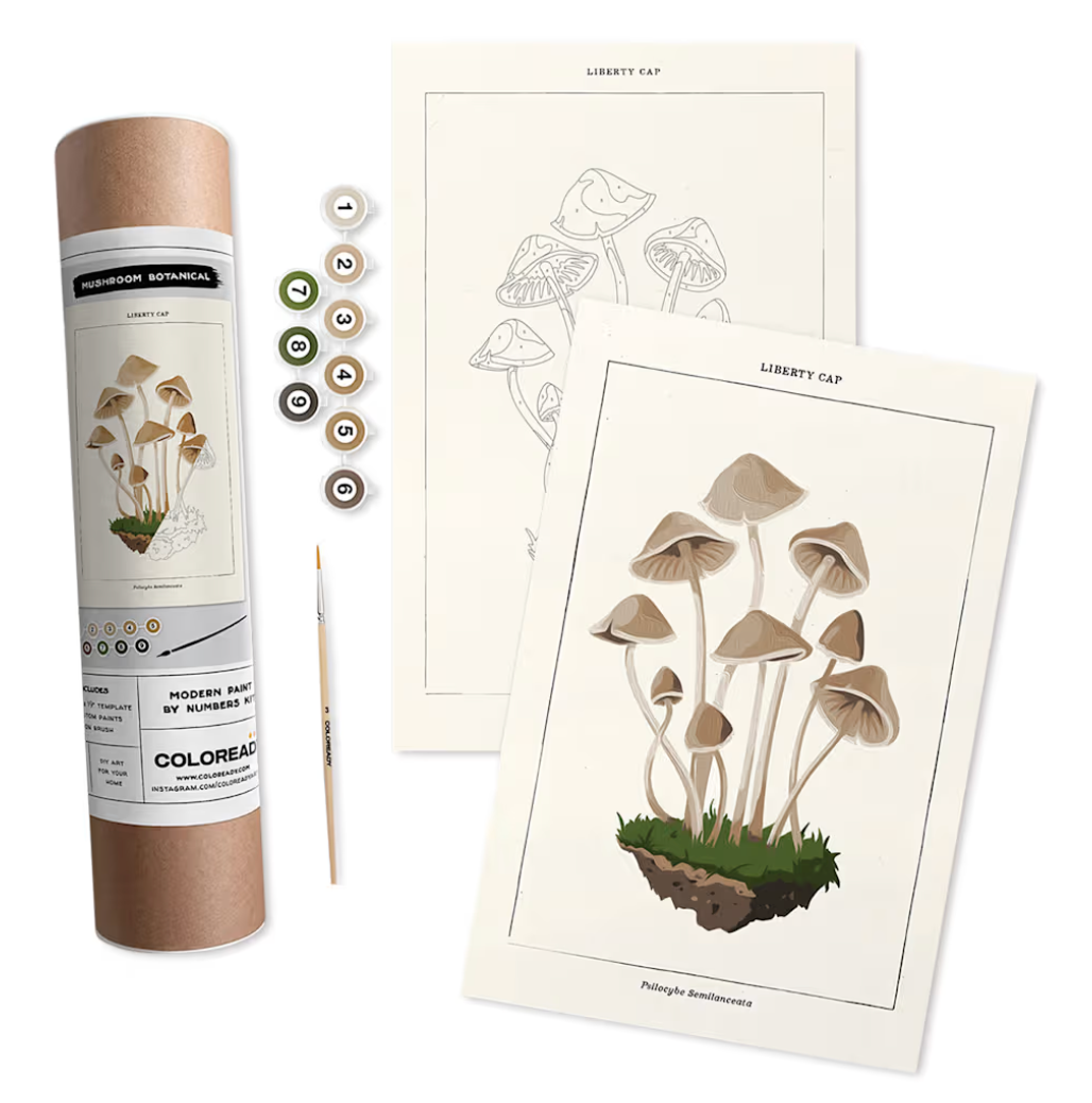 Coloready Paint by Number Kit - Mushroom Botanical