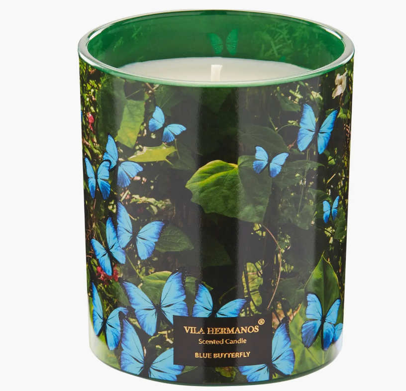 Vila Hermanos Jungletopia Blue Butterfly – Scented Candle – 7oz.