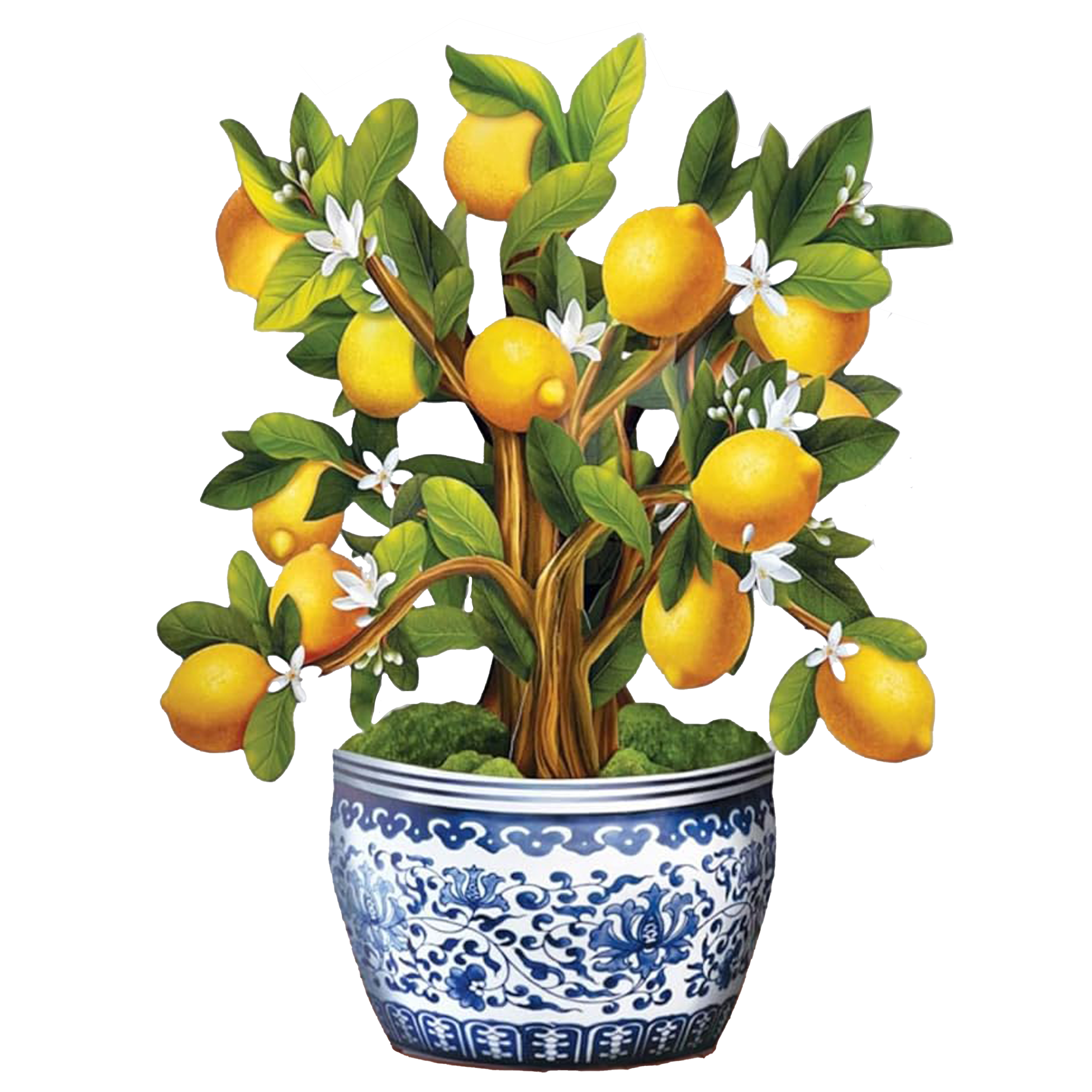 Fresh Cut Paper 3D Pop Up Flower Greeting Note Card – Lemon Blossom Tree – 6" x 5"