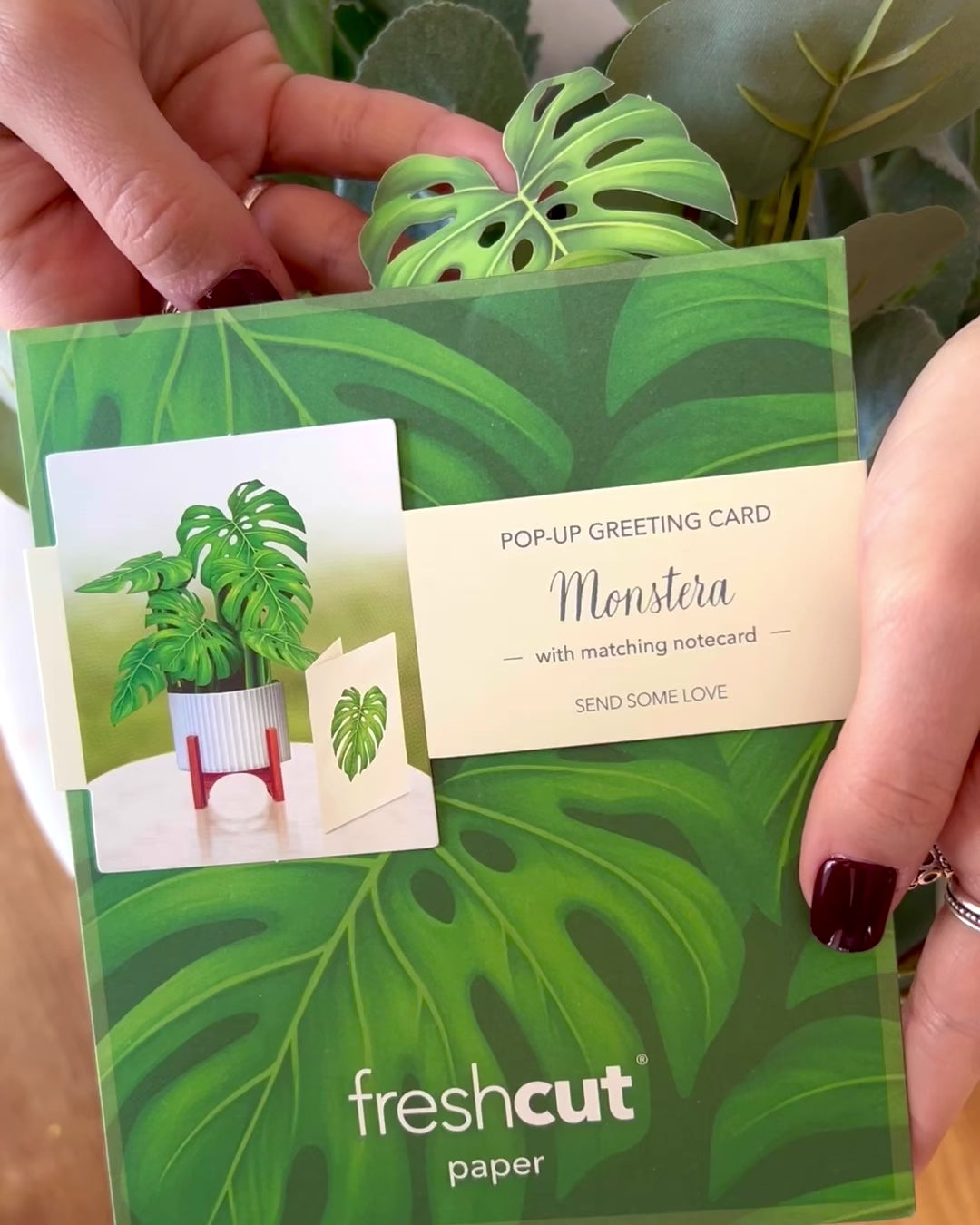 Fresh Cut Paper 3D Pop Up Flower Greeting Note Card – Monstera – 6" x 5"