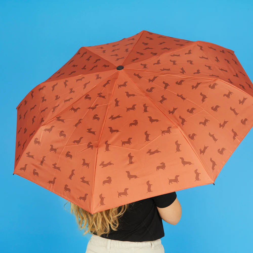 Teckel Umbrella – Brown