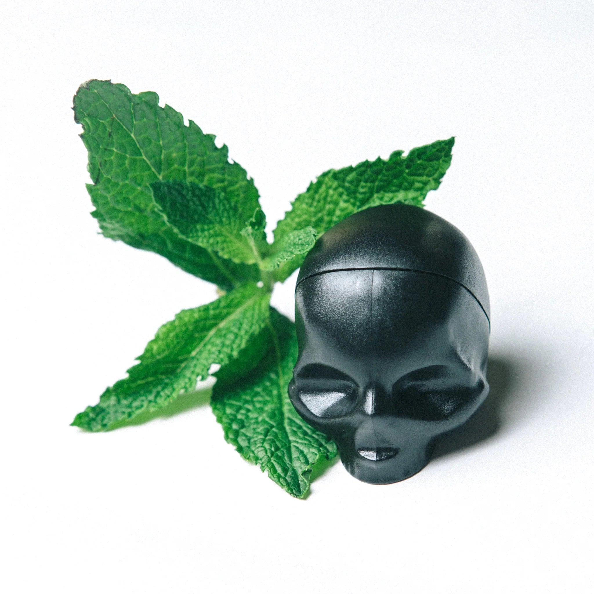 Rebels Refinery Black Skull Lip Balm – Mint