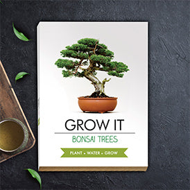 Grow Your Own Bonsai Trees