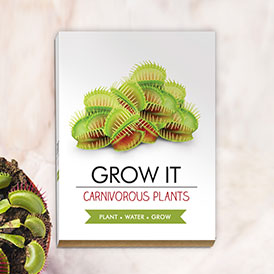 Grow Your Own Carnivorous Plants