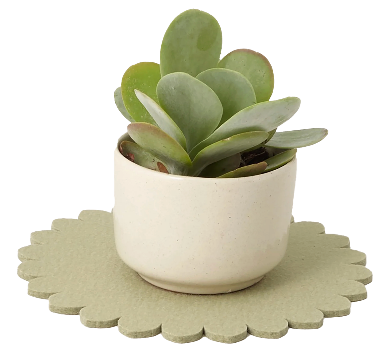 Graf Lantz Crest 8" Trivet – Dew