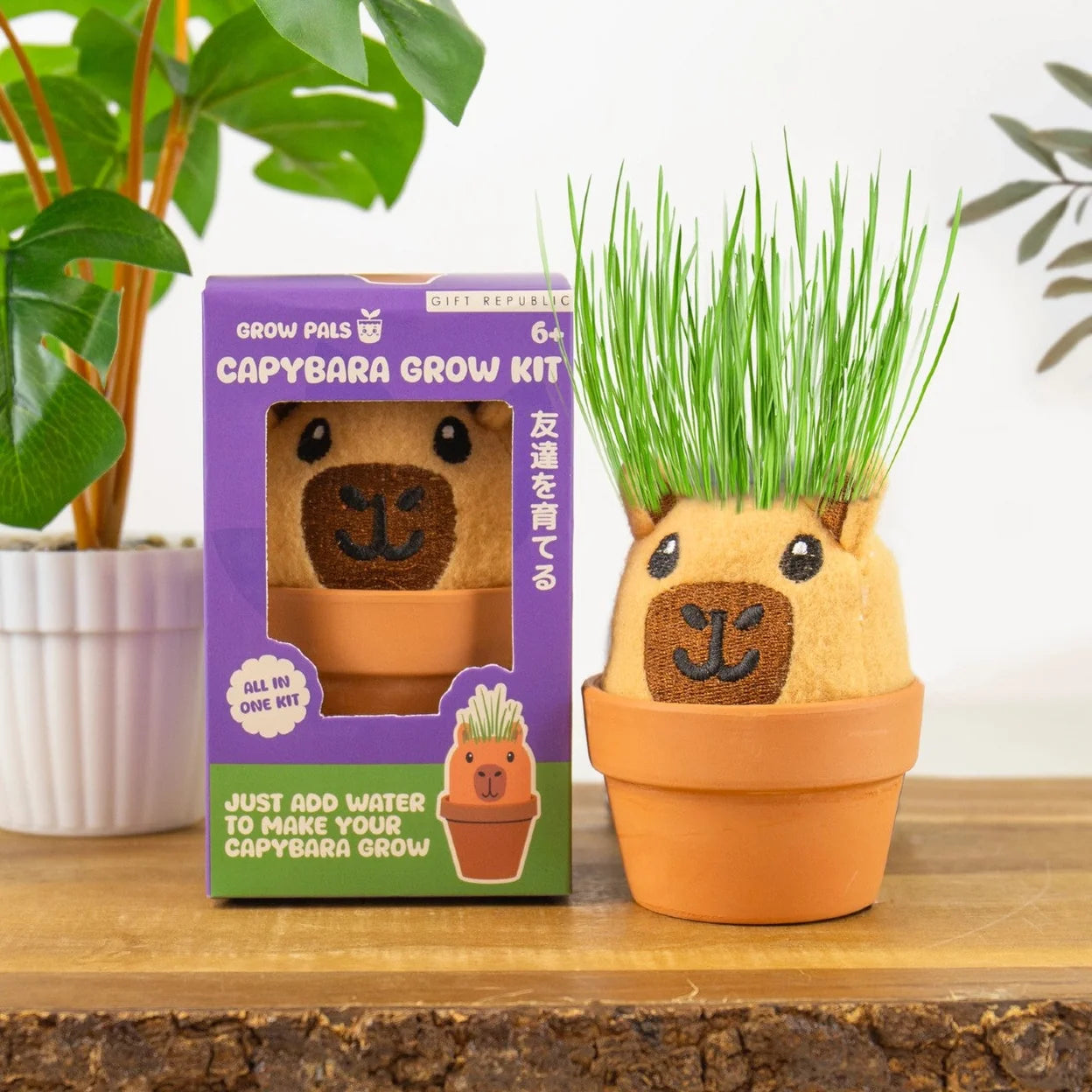 Gift Republic Grow Pal Kit – Grow a Little Green Haired – Capybara