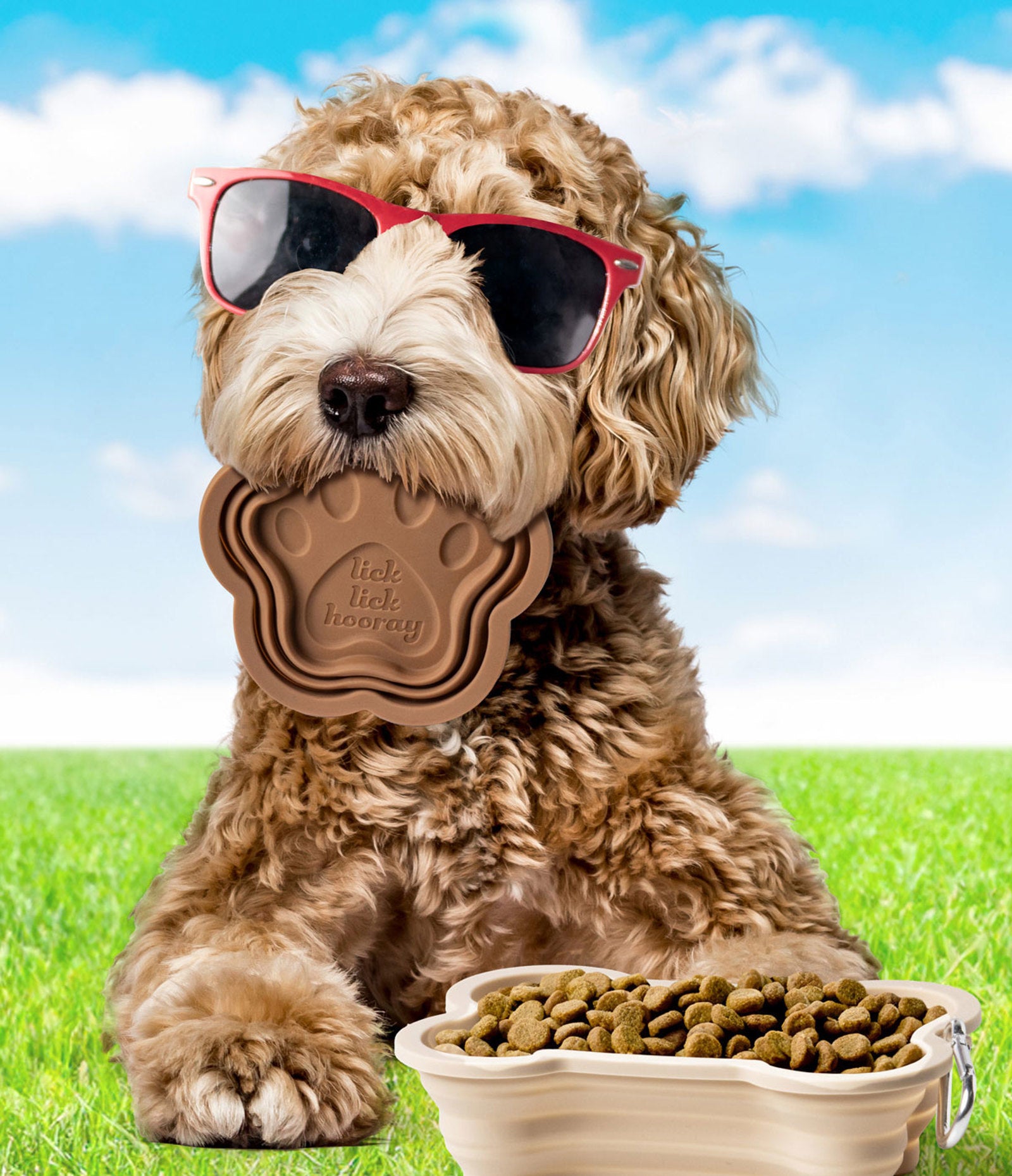Modern Monkey sWAG Collapsible Doggie Dish – Assorted Styles – Each Sold Separately