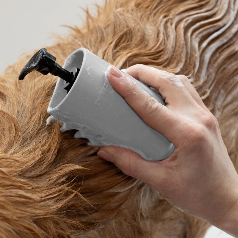 Pet 2-In-1 Shampoo-Dispensing Bath Brush