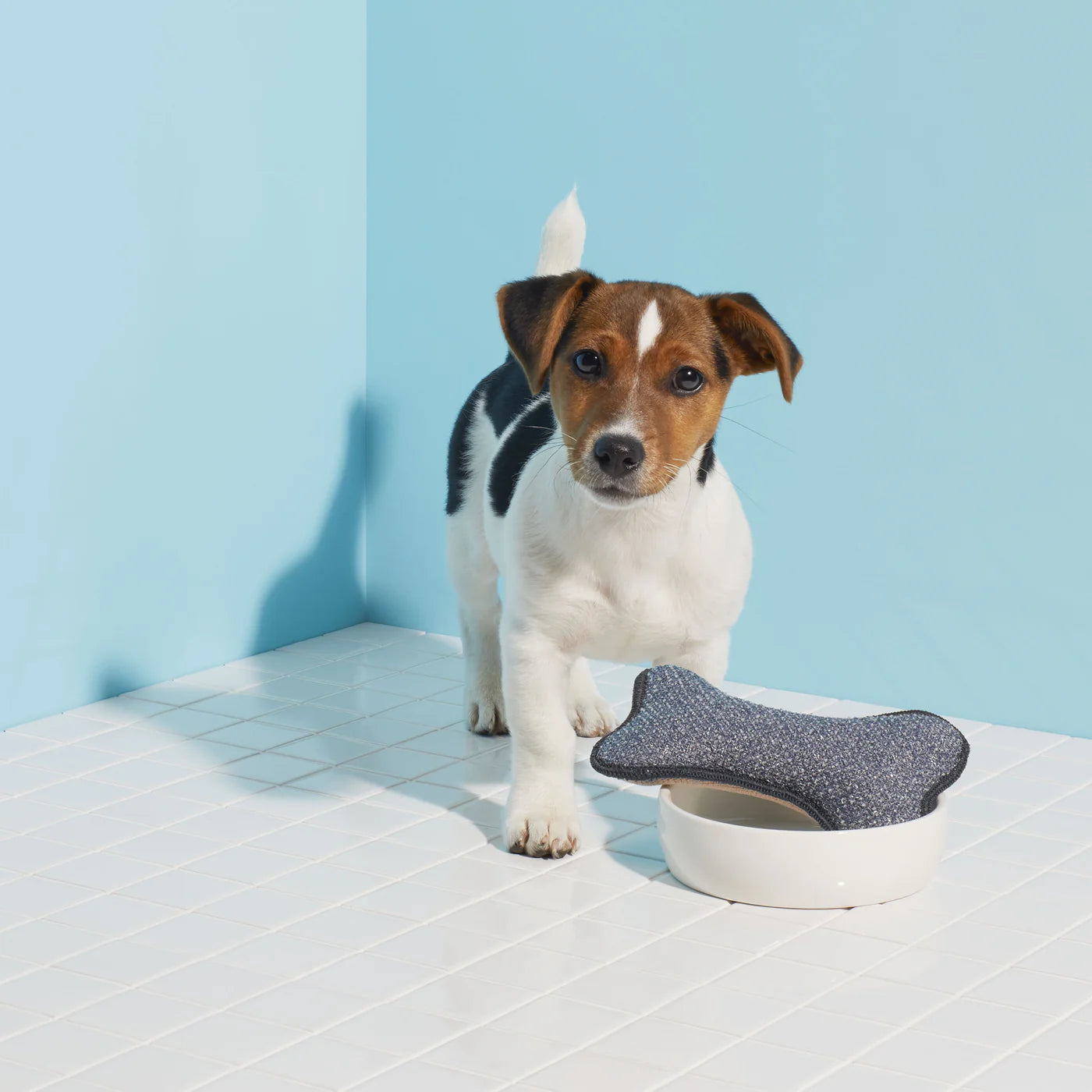 E-Cloth Pet Bowl Scrubber