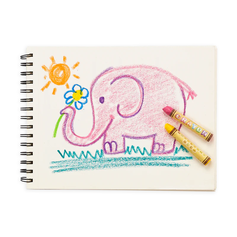 Carry Along Coloring Book Set – Dinoland