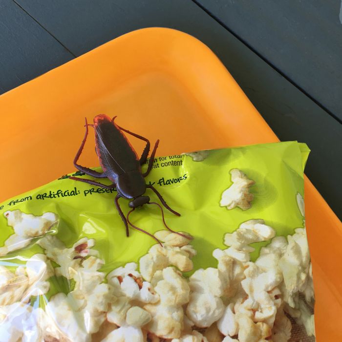 Roach Clips – Bag Clips