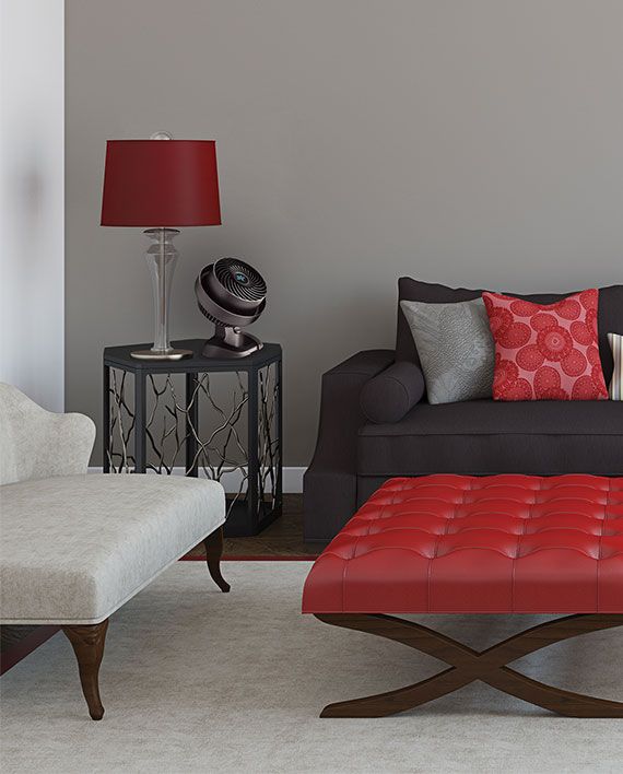 Vornado Small Air Circulator Fan