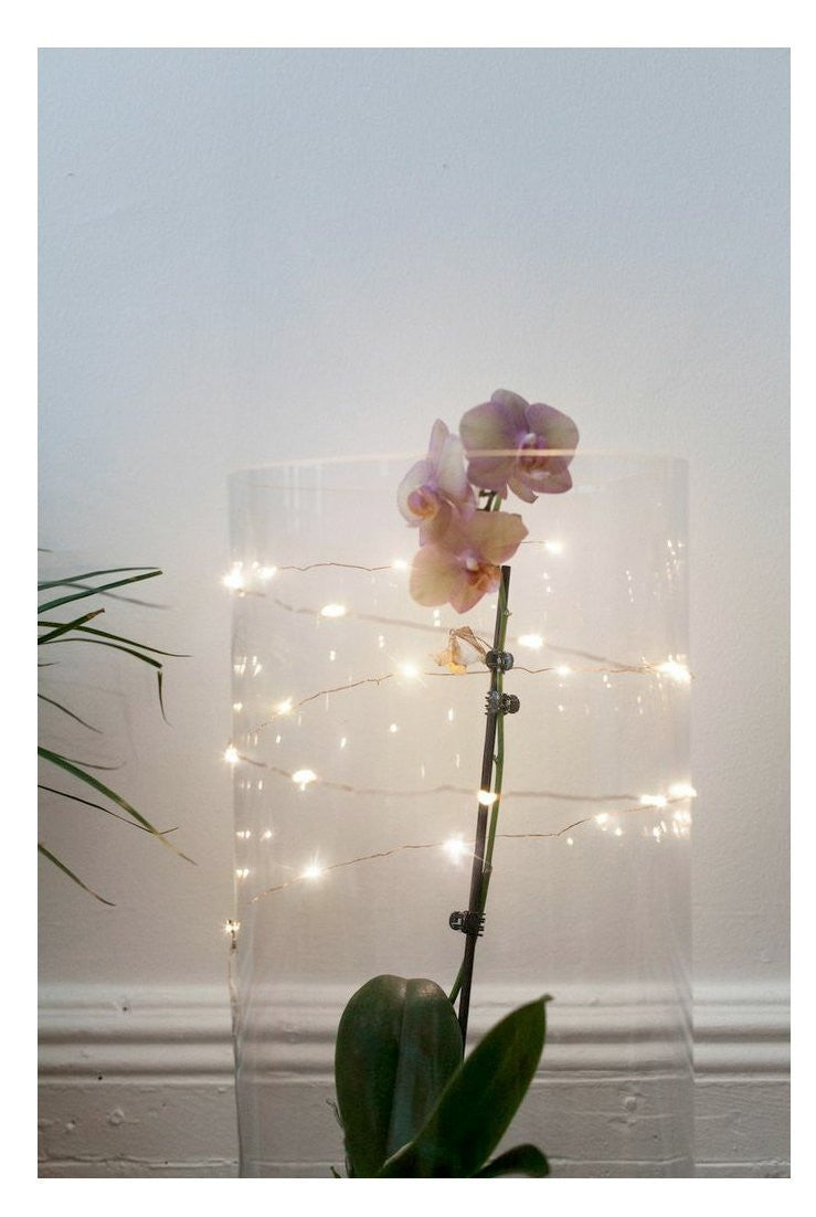 Kikkerland Copper String Lights – Soft White