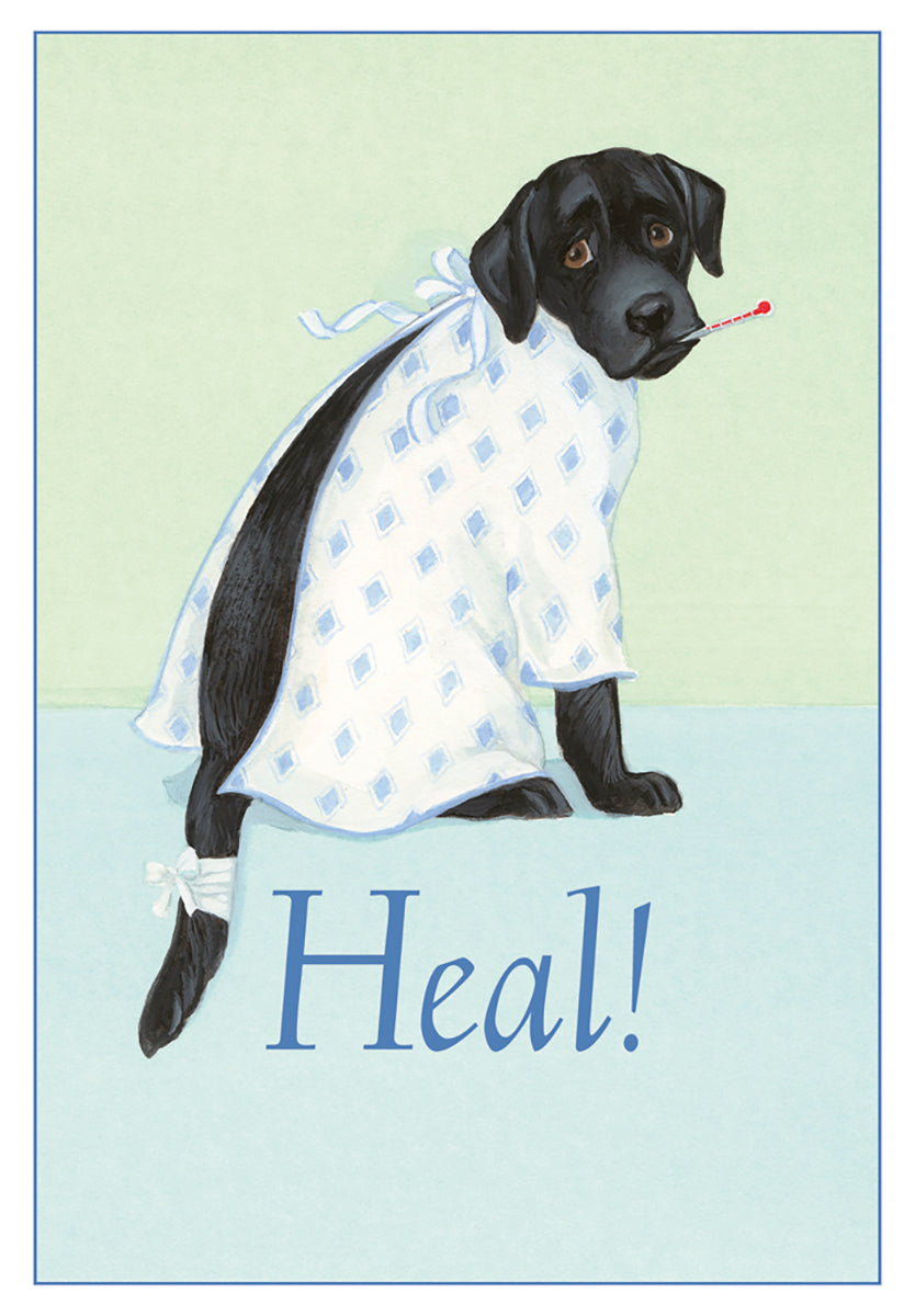 Caspari – Get Well Soon – 1 Card & 1 Envelope