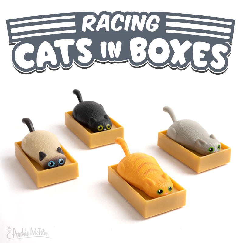 Racing Cats In Boxes Toy – Each Sold Separately