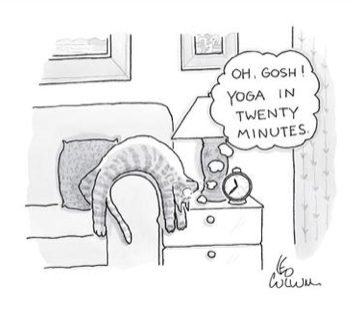 New Yorker Cartoon Mug - Cat