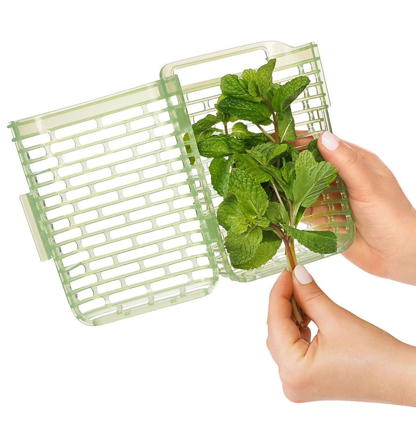 OXO Greensaver Herb Keeper – 1.8 QT.