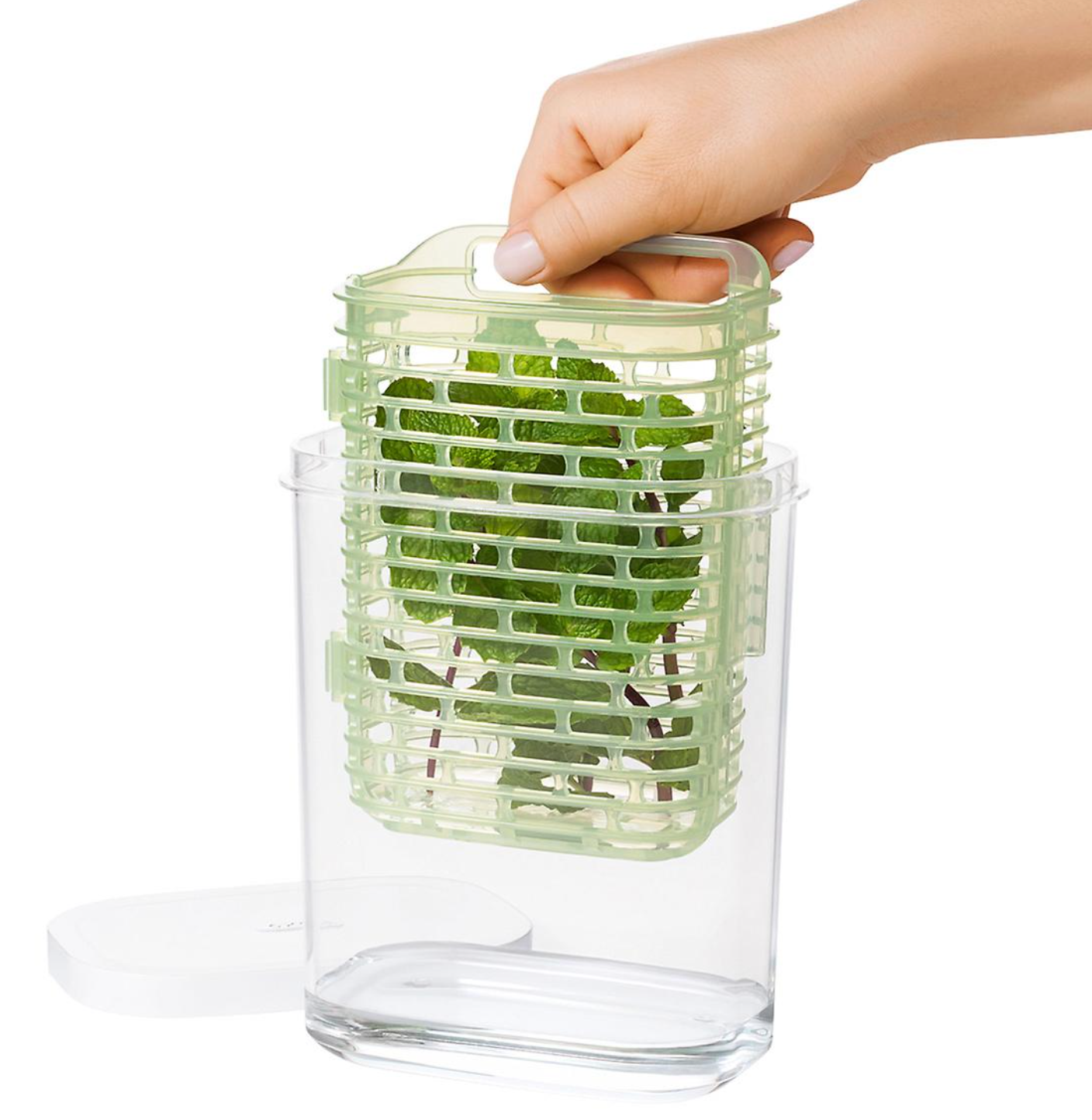 OXO Greensaver Herb Keeper – 1.8 QT.