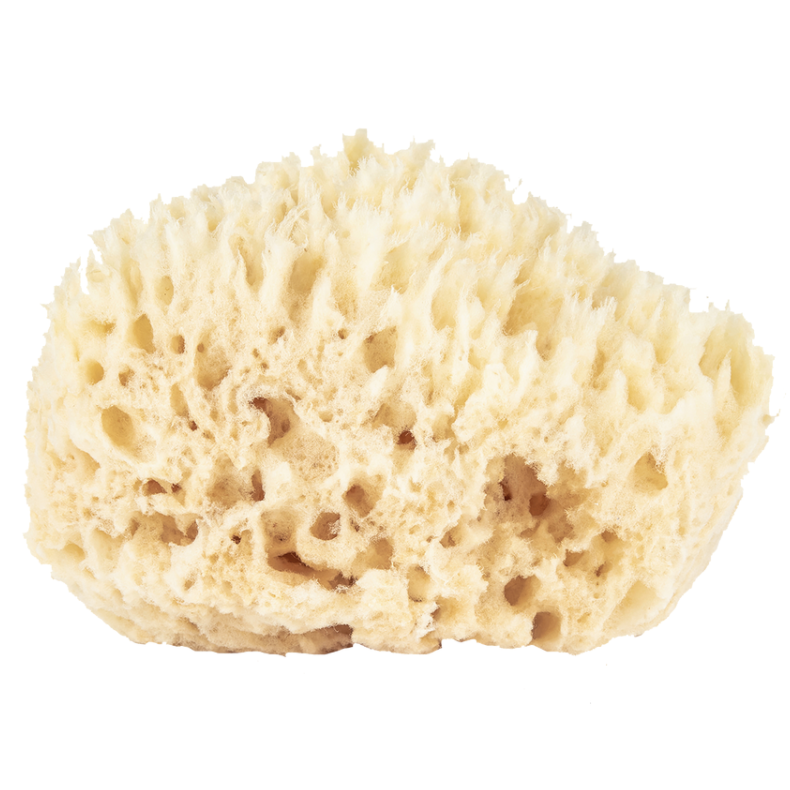 Baudelaire Wool Bath Sponge – 4.5 inch