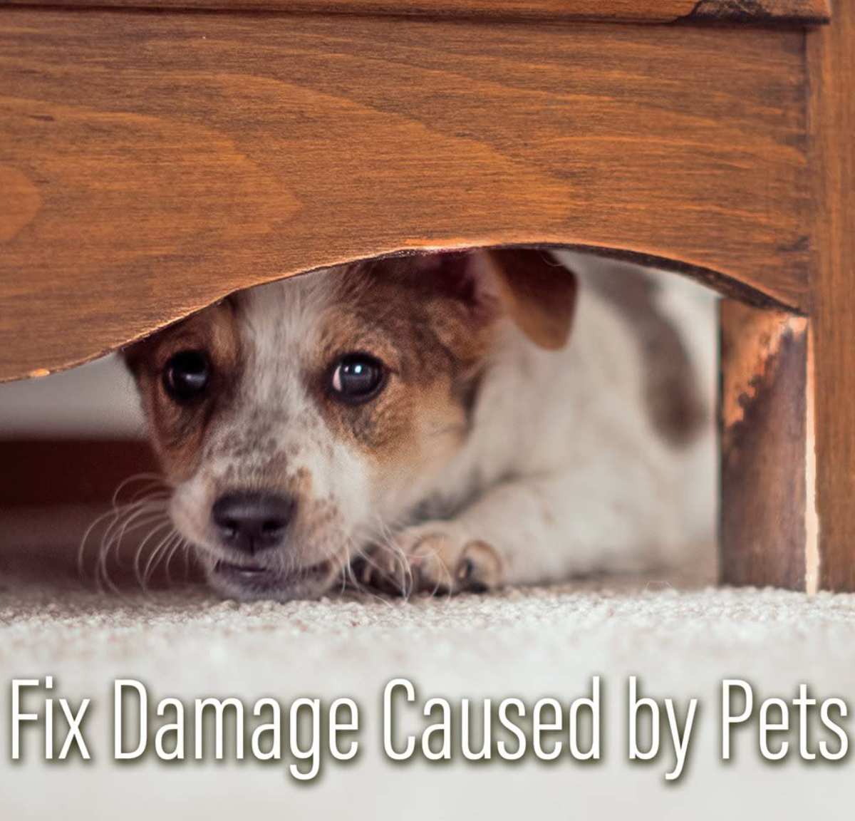 Old English Liquid Scratch Cover For Light Wood – 8-oz.