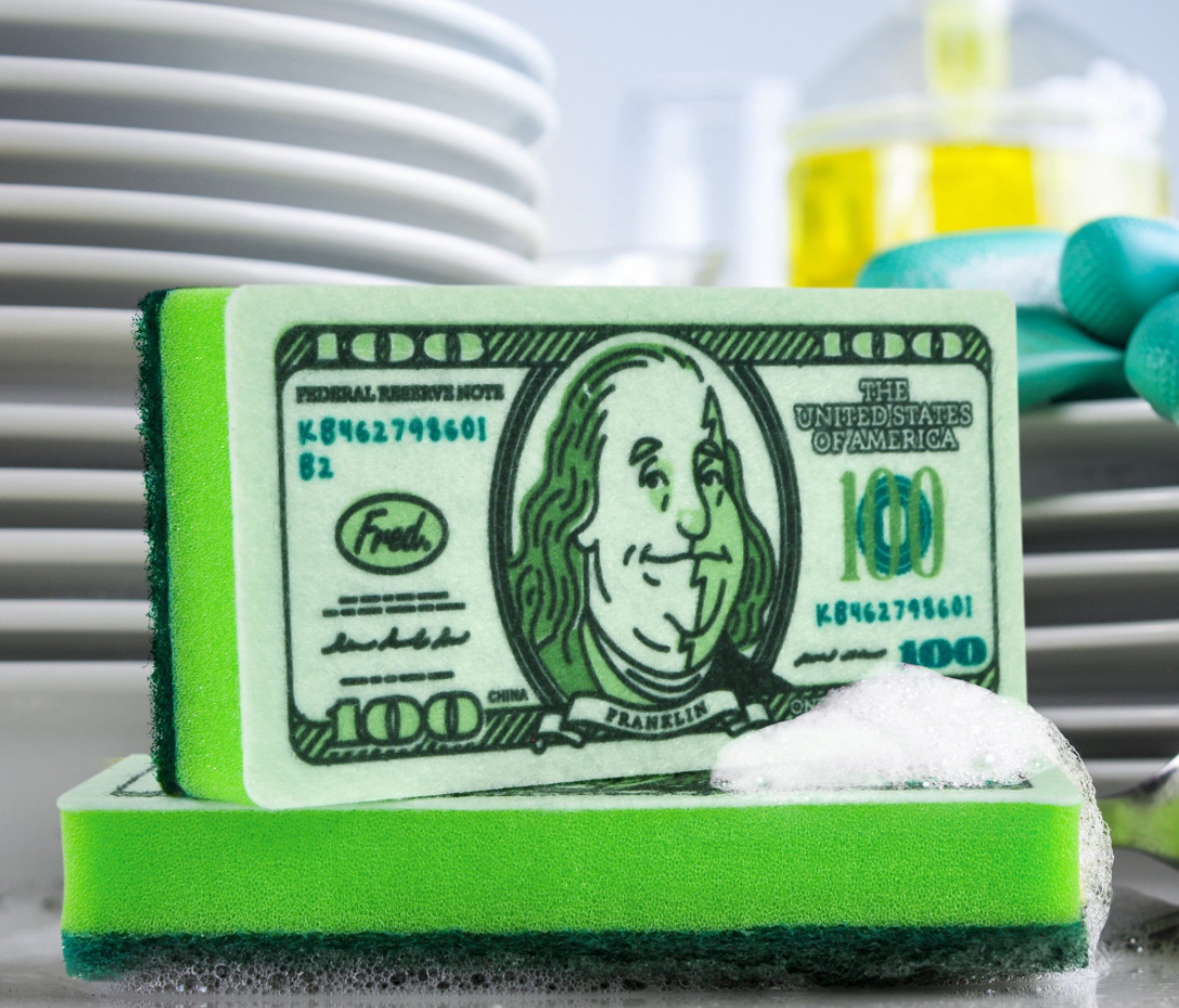 Dirty Money Sponges - Pack of 2