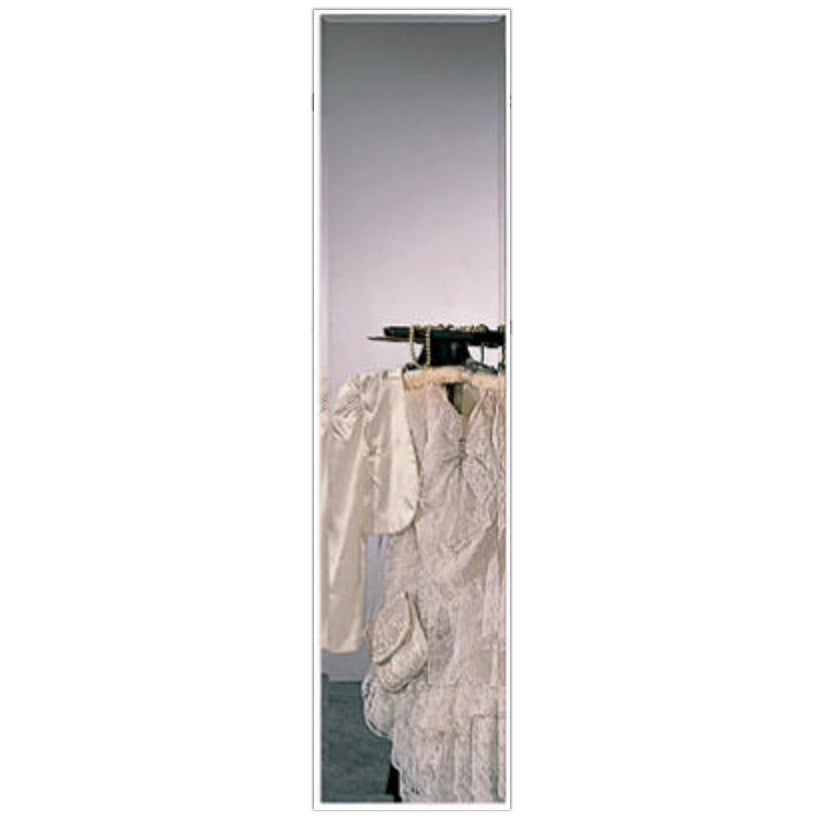 Frameless Rectangle Beveled Edge Door Mirror – 14" x 54" - LOCAL UPPER EAST SIDE DELIVERY ONLY