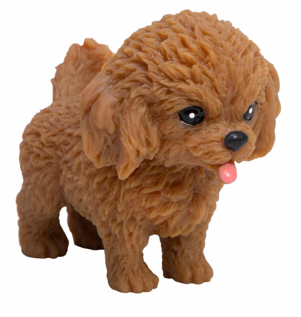 Pocket Pups Squishy Toy – Assorted – Sold Individually