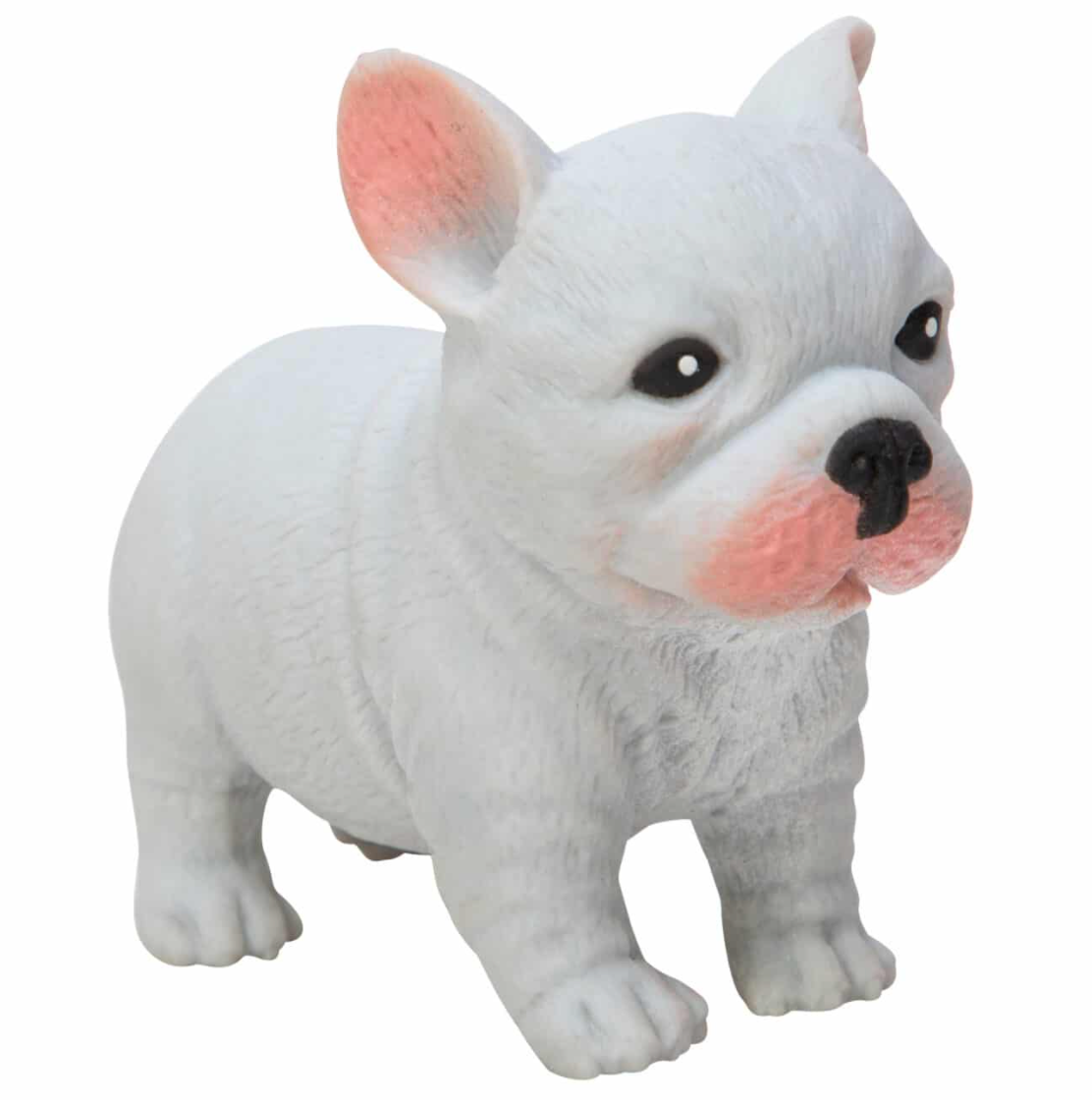 Pocket Pups Squishy Toy – Assorted – Sold Individually