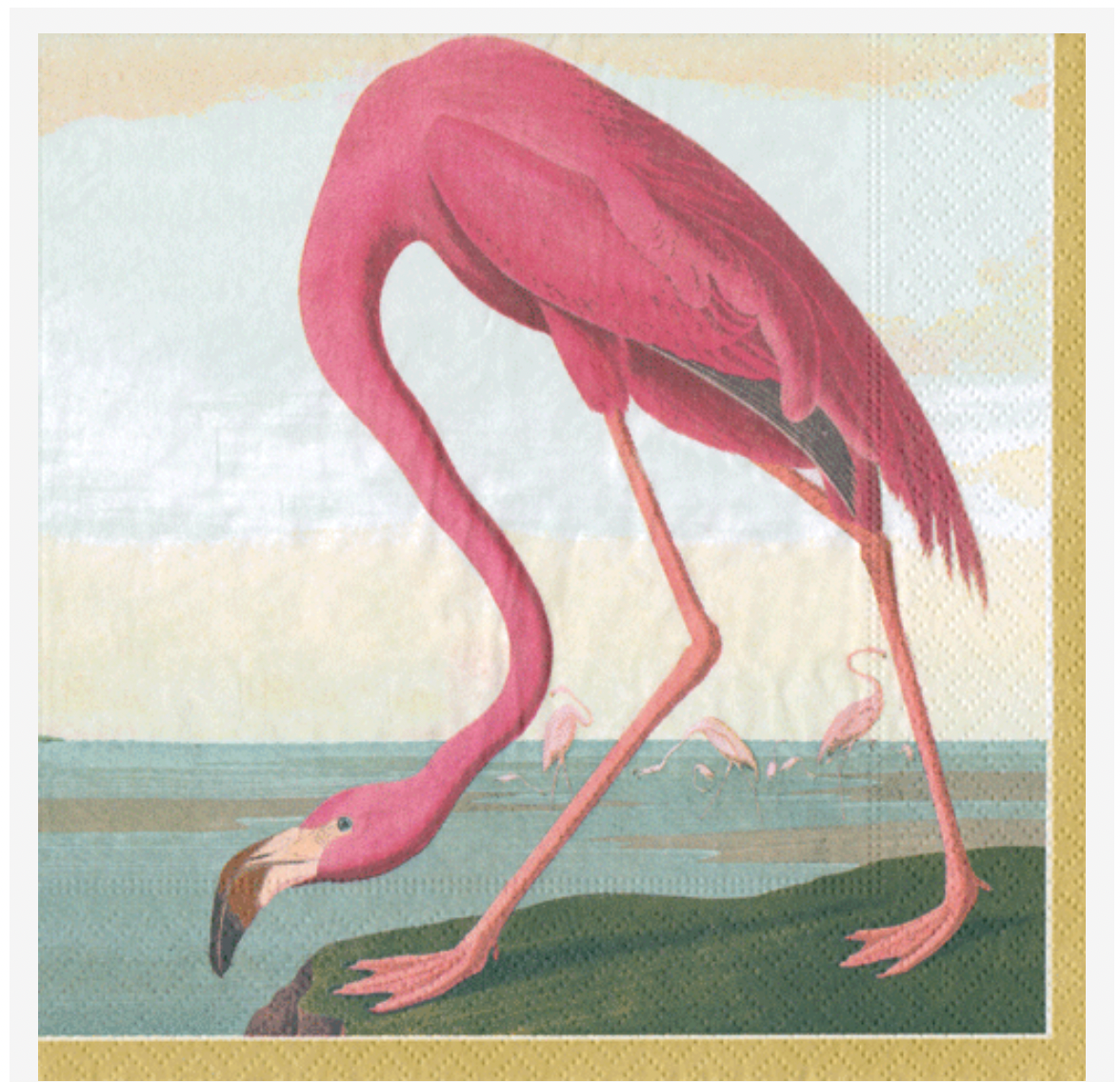 Caspari Audubon Birds Paper Cocktail Napkins - 20pk