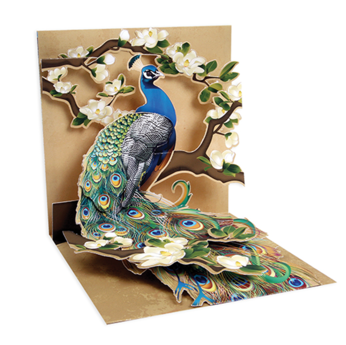 Up With Paper 3D Pop-Up Greeting Card – Peacock