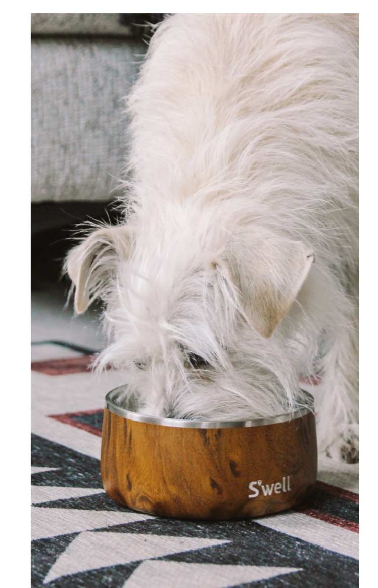 S'well Teakwood Dog Bowl – 32oz