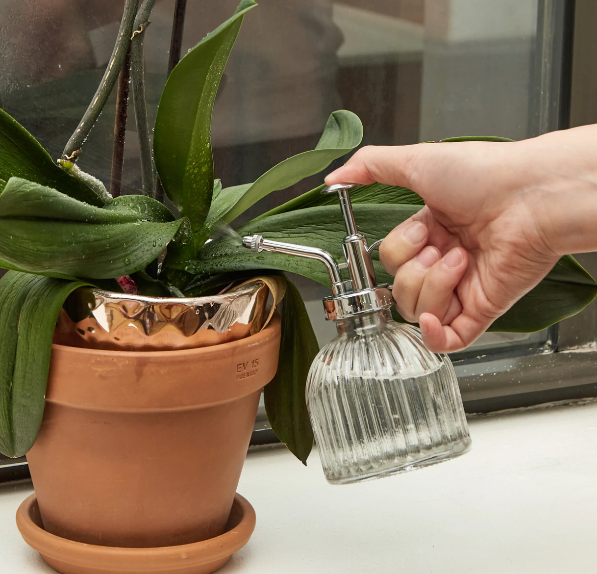 Kikkerland Glass Plant Mister