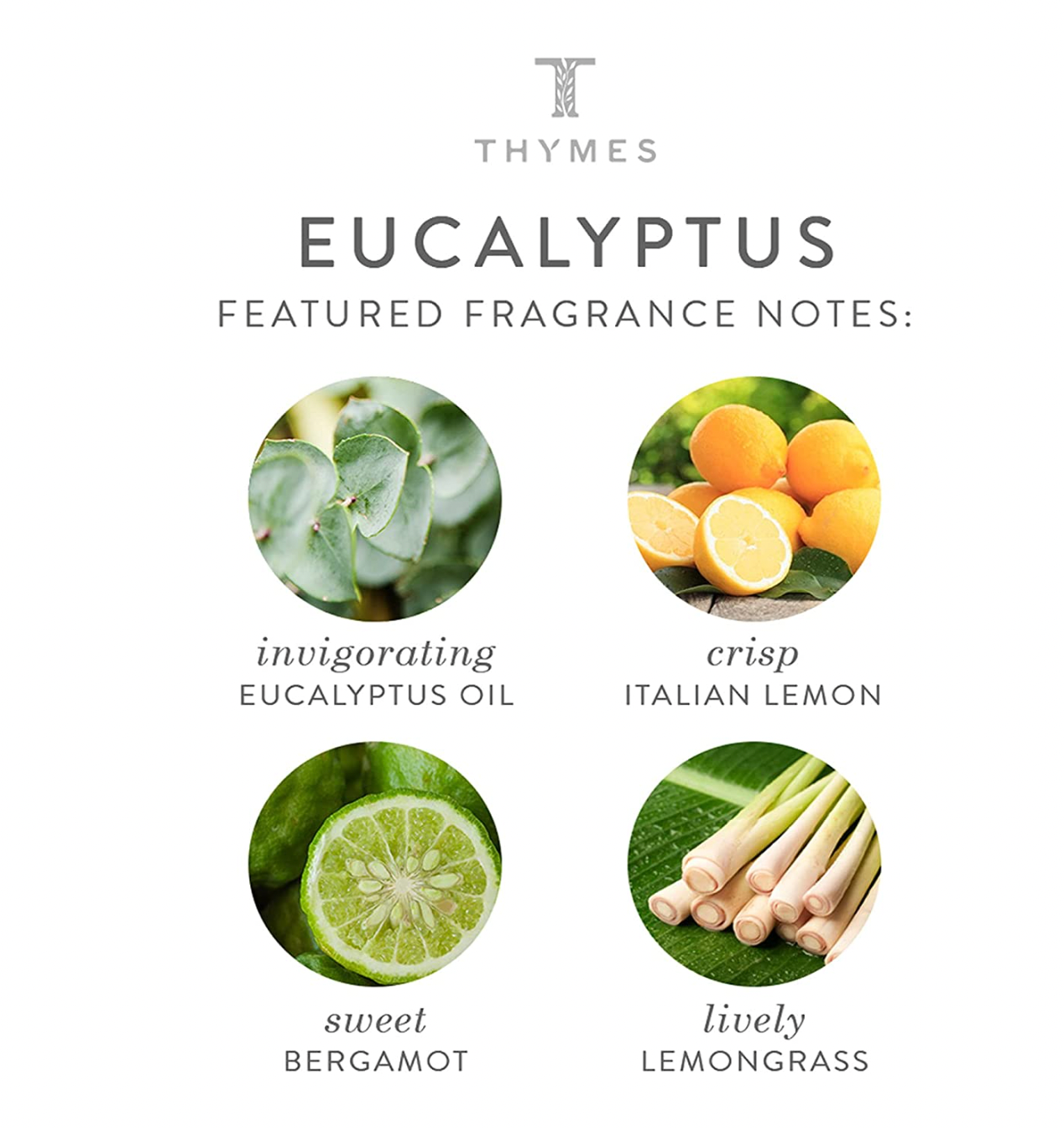 Eucalyptus Hand Wash – 8.25oz