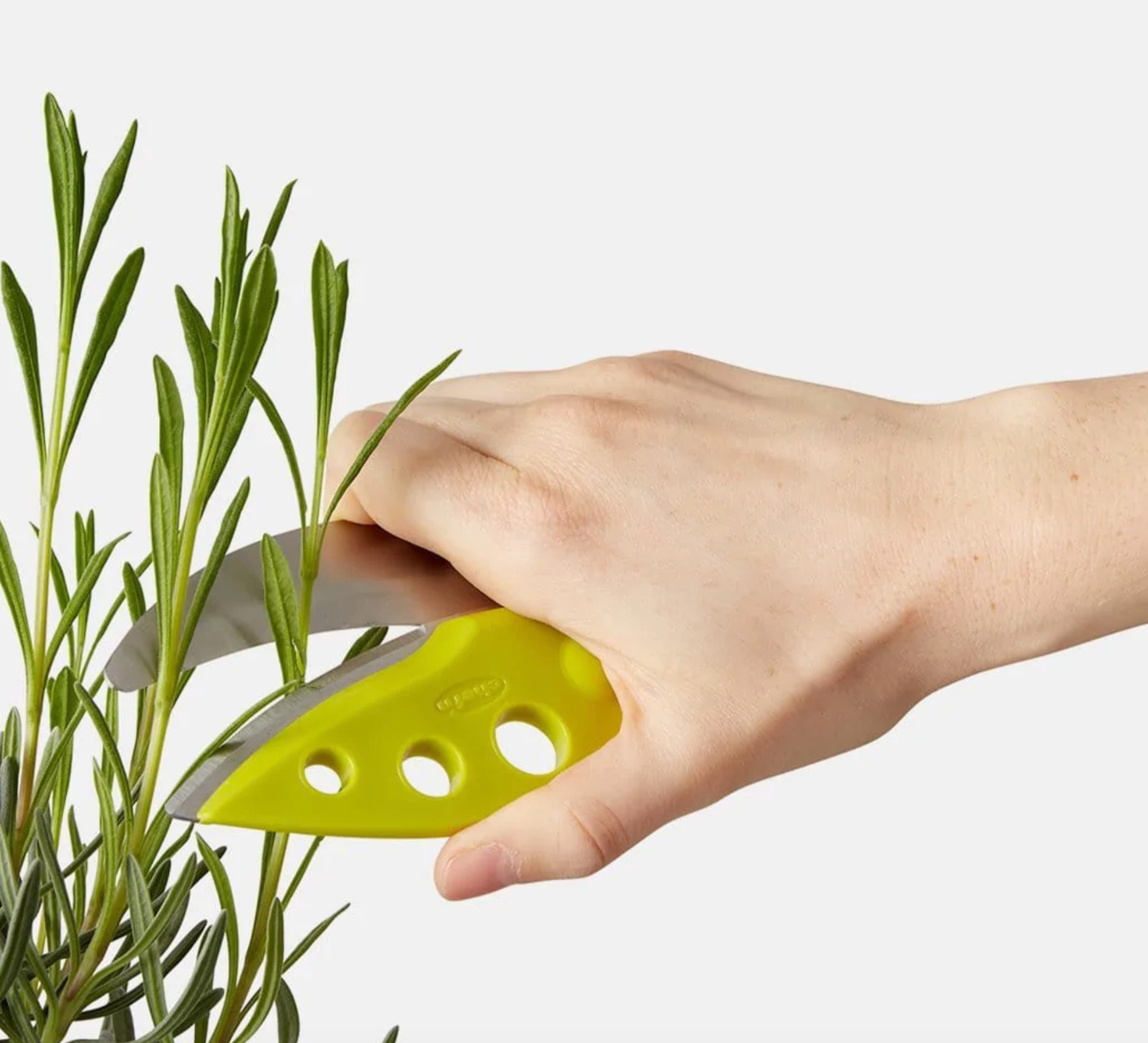 LooseLeaf Plus Kale and Greens Stripper