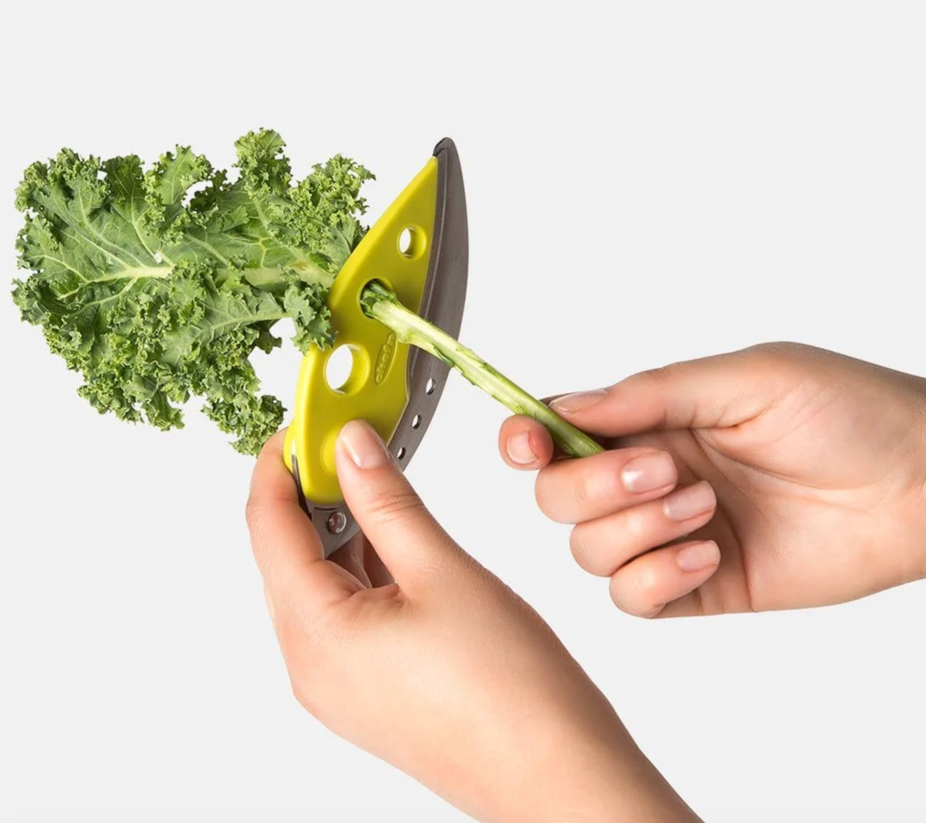 LooseLeaf Plus Kale and Greens Stripper