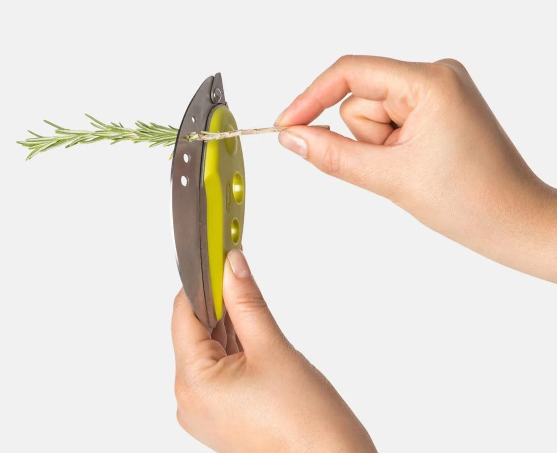 LooseLeaf Plus Kale and Greens Stripper