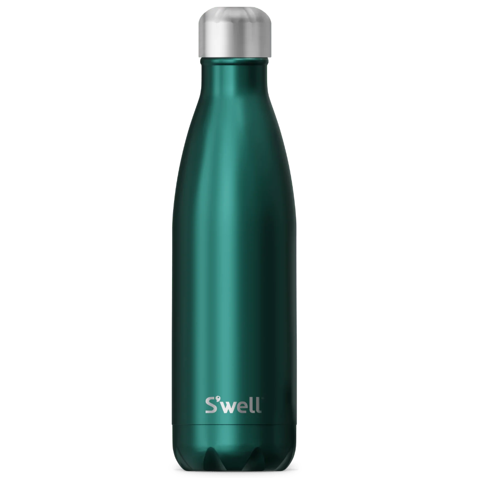 Primula Luster Water Bottle Vacuum Sealed Stainless Steel Thermal Insulated Flask, 17 Ounce, Sage, Green