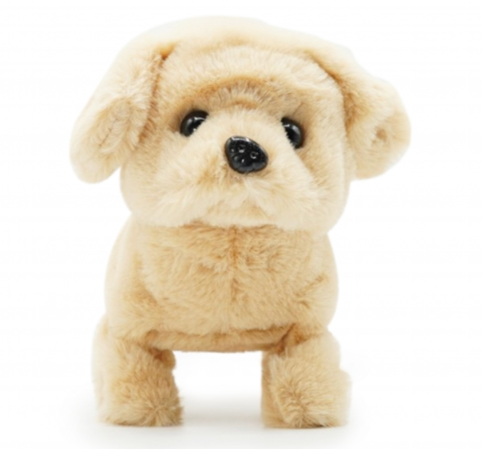 Pugs At Play – Goldie The Waking Dog Toy