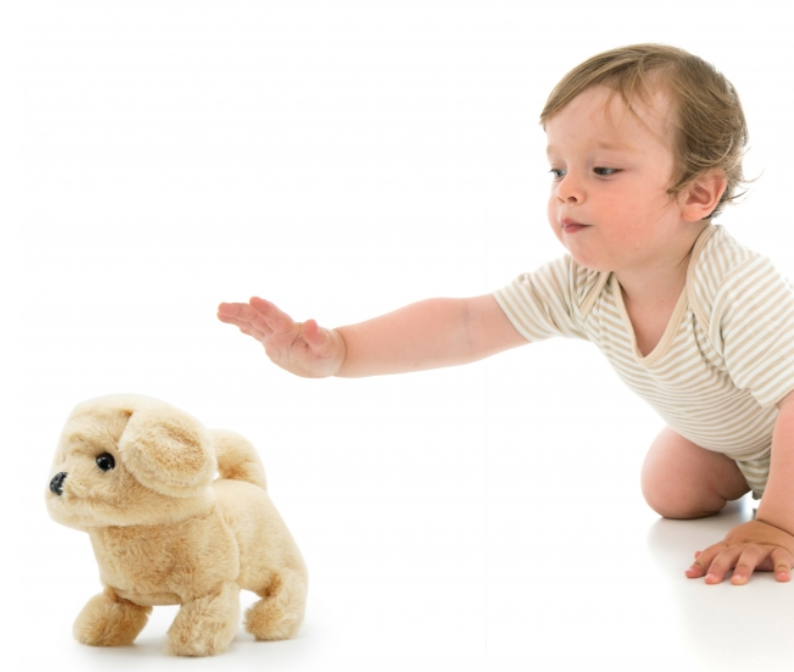 Pugs At Play – Goldie The Waking Dog Toy