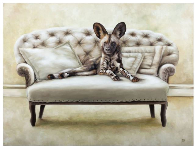 Wildlife At Leisure – Rhino And Friends Note Cards – Set of 6