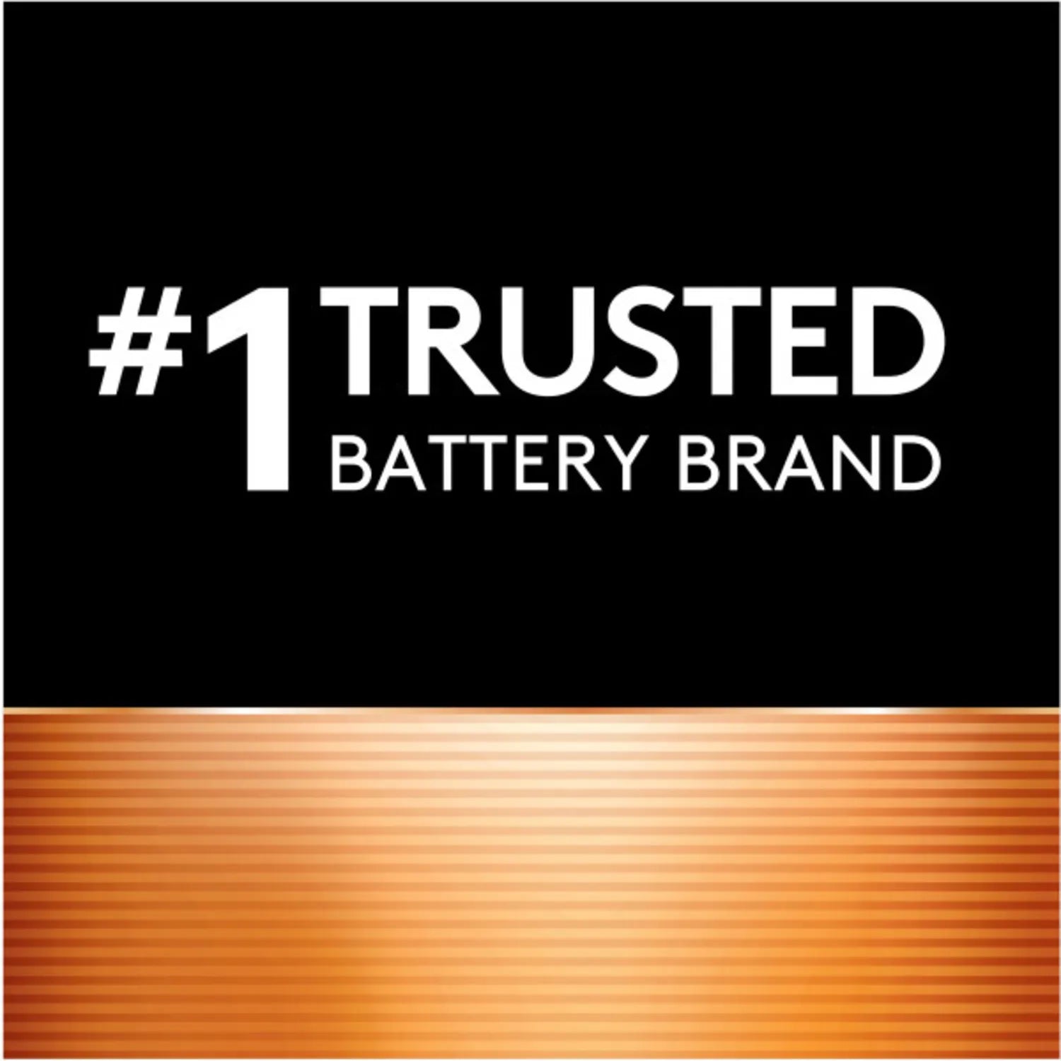 Duracell Coppertop D Alkaline Batteries - 2 Pack