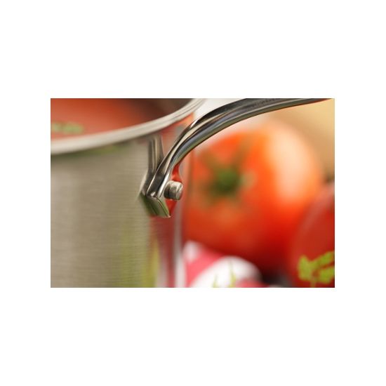 All-Clad D5 Brushed Stainless 4 QT Stock Pot & Lid