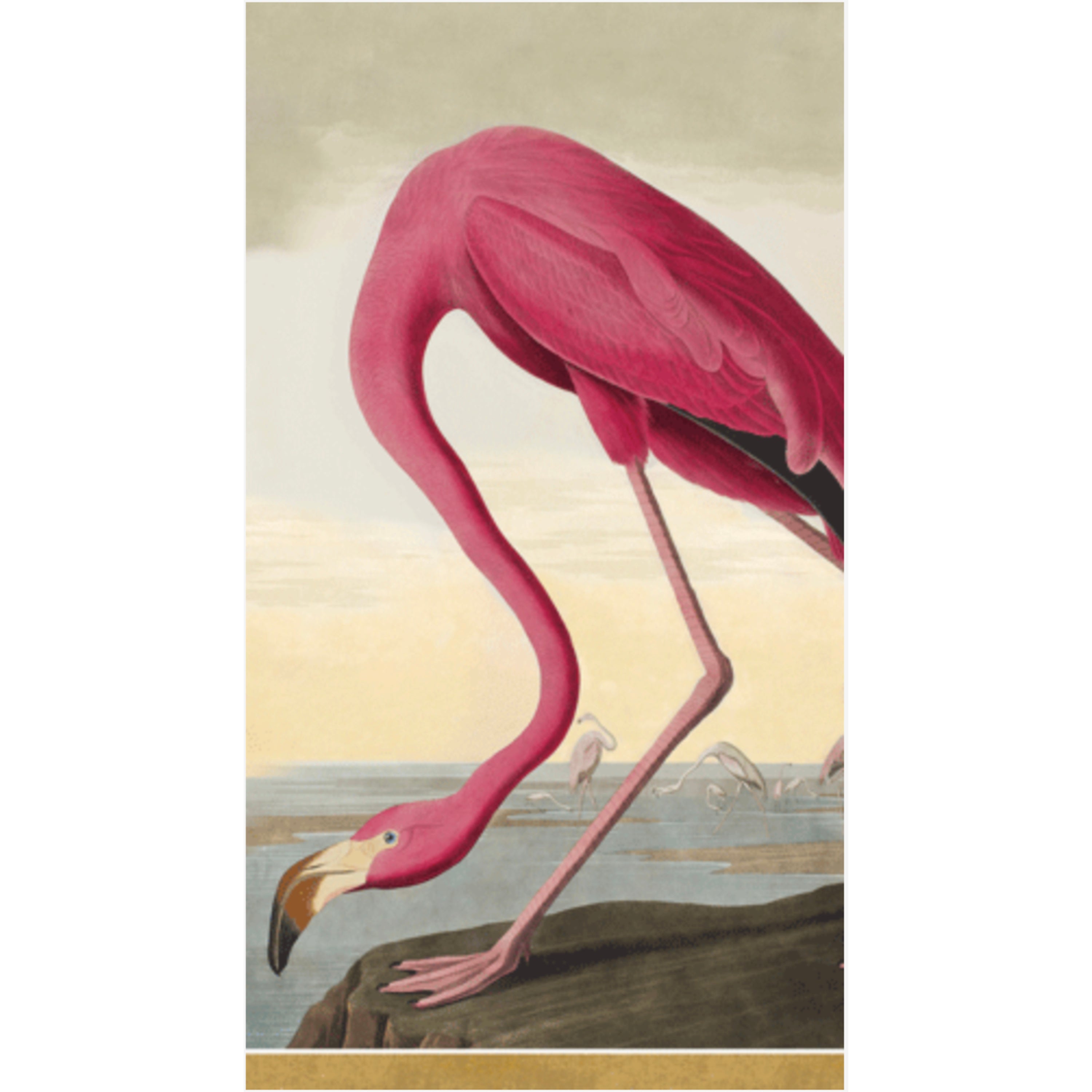 Caspari Chelsea Audubon Guest Towels - 15pk